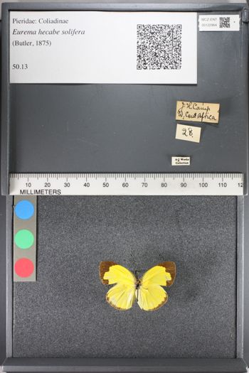 Media type: image;   Entomology 122964